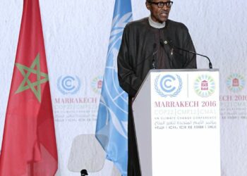 Great Green Wall: Africa’s Ambition Of Restoring Over 100 Million Hectares Of Degraded Landscape Achievable, Says President Buhari