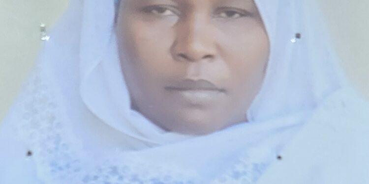 EFCC Docks Woman for N32m Oil Scam in Kano