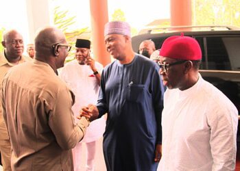 2023: Nigeria needs a bold, business-conscious president – Saraki