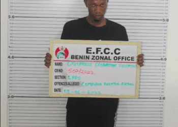 Court Sends Internet Fraudster to Jail in Benin
