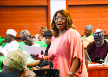 Lagos-Ibadan Expressway Death Trap for Pedestrians- Fed. Lawmaker Tells FG