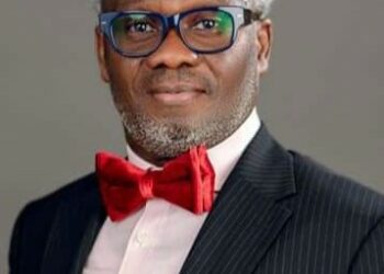 PREMIUM TIMES Books Unveils New Title on Cyber Politics, Nigerian Elections