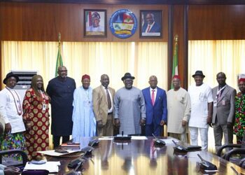 Accessible, affordable healthcare essential for productive economy – Oborevwori