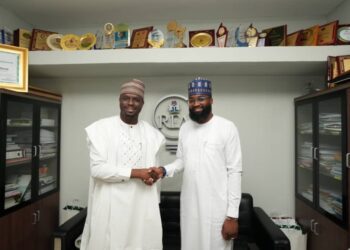 NASENI, REA Agree To Deploy Renewable Technologies To Light Up Rural Areas in Nigeria