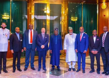 PRESIDENT TINUBU TO ORACLE GLOBAL VP: With Cutting-Edge Technology, We Will Digitize The Public Service And Surgically Apply Public Money For Growth