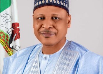 Home and abroad, Tinubu’s Nigeria is taking its rightful place