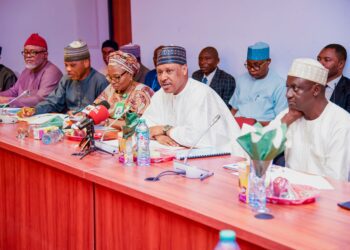 Idris to Senate: Review outdated laws to improve performance in the information sector