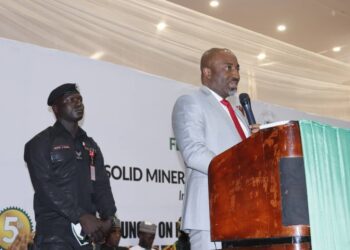 Illegal Mining, Threat to Economic Growth – Olukoyede