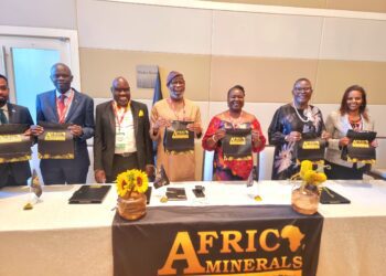 Nigeria Leads Africa’s Mining Sector Resurgence – Segun Tomori