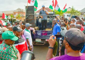 NLC PROTEST: We share in your plights- Delta Govt
