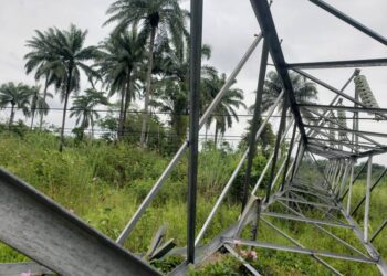 Again, vandals strike along Ahoada-Yenagoa 132kv double circuit transmission line, destroying thirteen towers