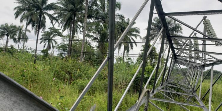 Again, vandals strike along Ahoada-Yenagoa 132kv double circuit transmission line, destroying thirteen towers