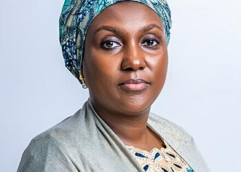 NEMA: Raising The Bar on Disaster Preparedness and Mitigation