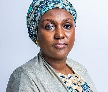 NEMA: Raising The Bar on Disaster Preparedness and Mitigation