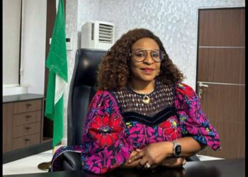 Nonye Ayeni – Driving the Vision of NEPC