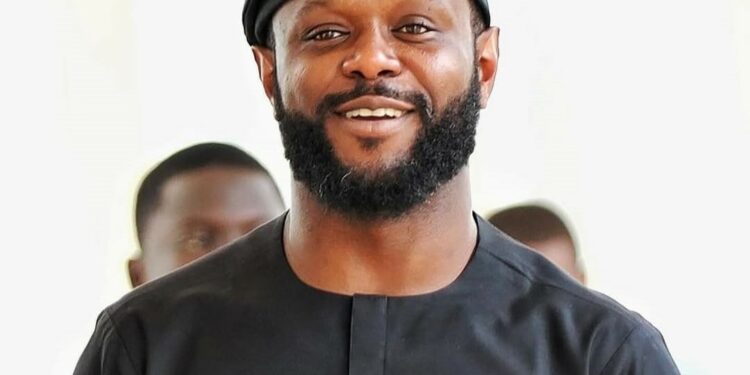 From Advertising to Philanthropy: The Business Ventures of Seyi Tinubu