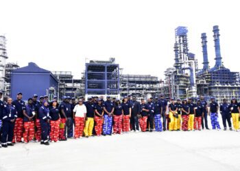 Africans Will Develop Africa, Dangote Tells Global CEOs