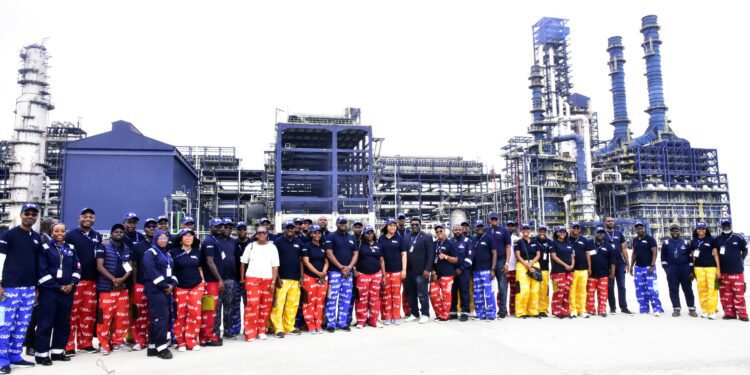 Africans Will Develop Africa, Dangote Tells Global CEOs