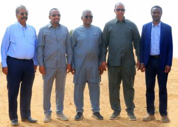 Fertiliser Plants: Dangote vows to ensure food security in Africa