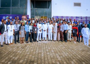 Nigeria Must Build, Not Just Buy, Clean Energy Technologies – NASENI EVC