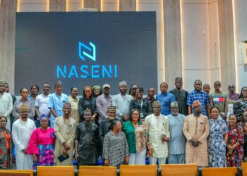 NASENI Reaffirms Commitment On Research Commercialisation