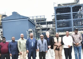 Tanzania Eyes Expanded Dangote Investments in Fertiliser, Energy, Infrastructure