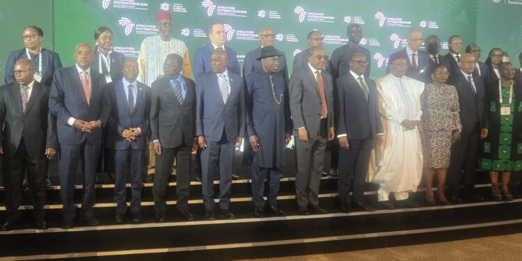 Jonathan Charges African Leaders to Move from Agricultural Declarations to Action
